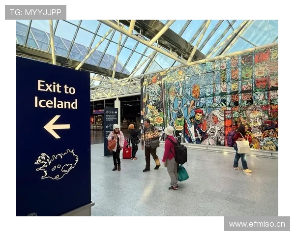 冰岛雷克雅未克迎来国际赛事，球队士气在主场氛围中有所提升