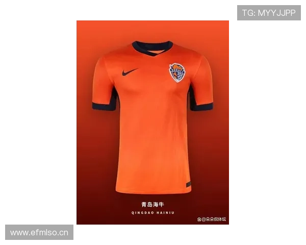 球衣设计亮点：新赛季主场战袍融入经典元素与现代科技