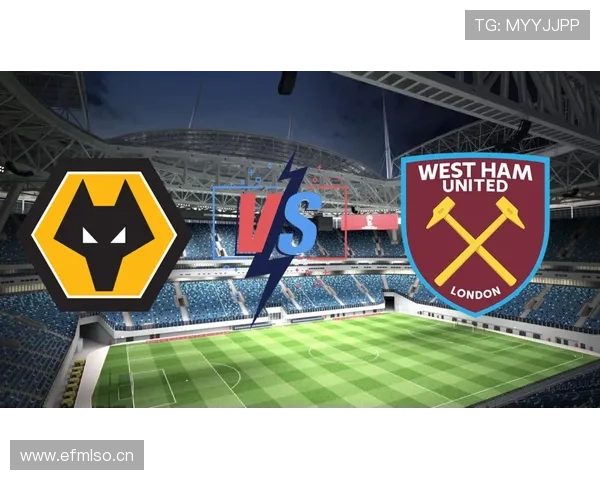 英超狼队球迷抗议