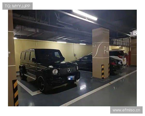 莫兰特家车库比我家还大，里面停的车比我见过的都贵